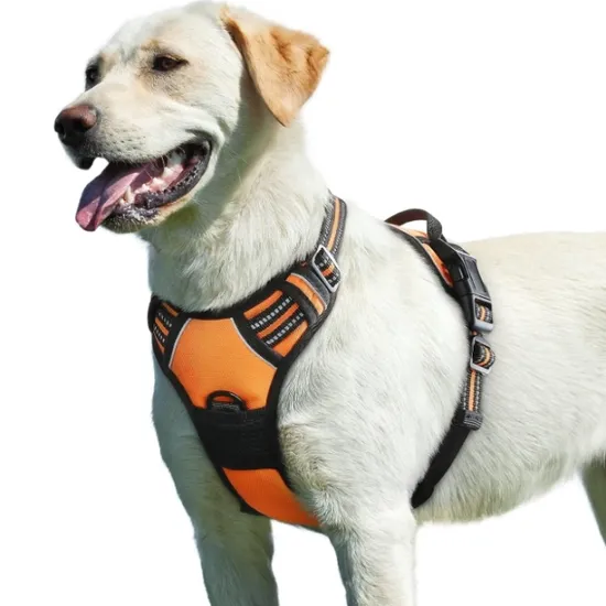 Manufacturers Purple Best No Pull Dog Harness with Easy Control Handle for Corgi Pug