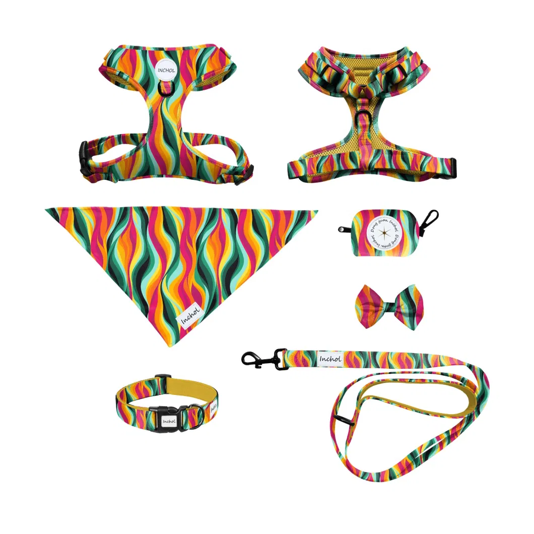 All Kinds of Customized Design Full Sets Dog Harness
