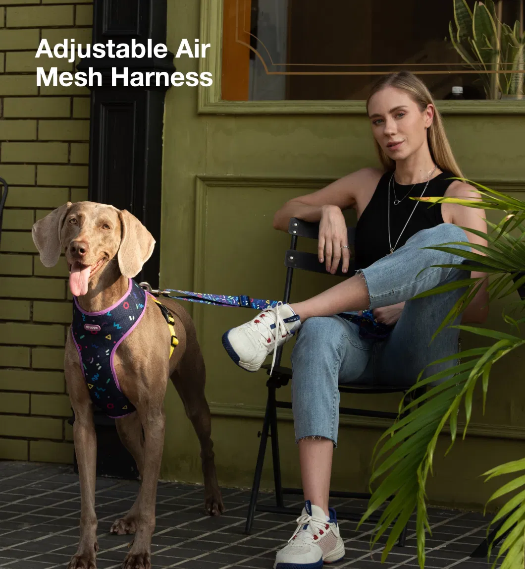 Voovpet/OEM/ODM Comfortable Breathable Soft Air Mesh Pet Dog Harness with Fashionable Design