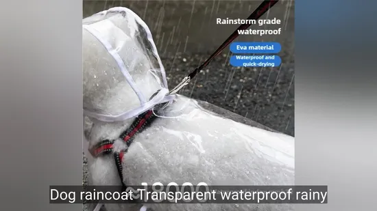 Transparent Waterproof Dog Raincoat for Small and Medium Breeds 