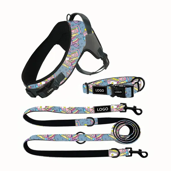 Professional Pet Accessory Supplier Custom Dog Harness Set Hand Free Leash Lead 