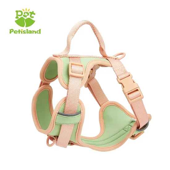Petisland Pet