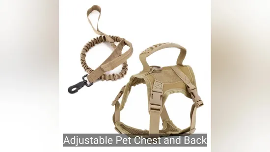 Breathable Dog Leash Harness for Ultimate Pet Comfort 