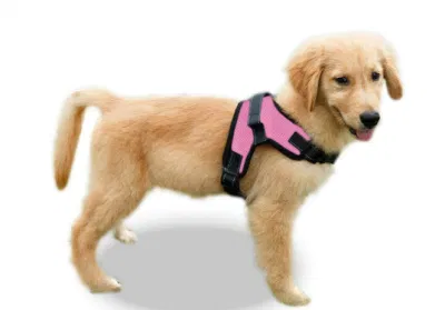 Soft Gentle Breathable Mesh Dog Vest Harness for Puppies Xs Small Medium Large Dogs