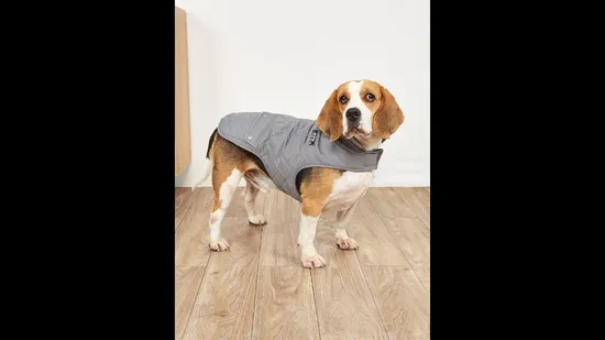 Dog Raincoats Customization & Wholesale Waterproof Raincoat for Dogs Reflective Design 