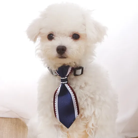 High Quality Wholesale Pet Supplies New Fashion Bell Collar with Red Green Striped Print Bow 