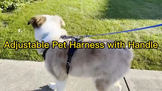 Dog Harness for Large Dogs No Pull 