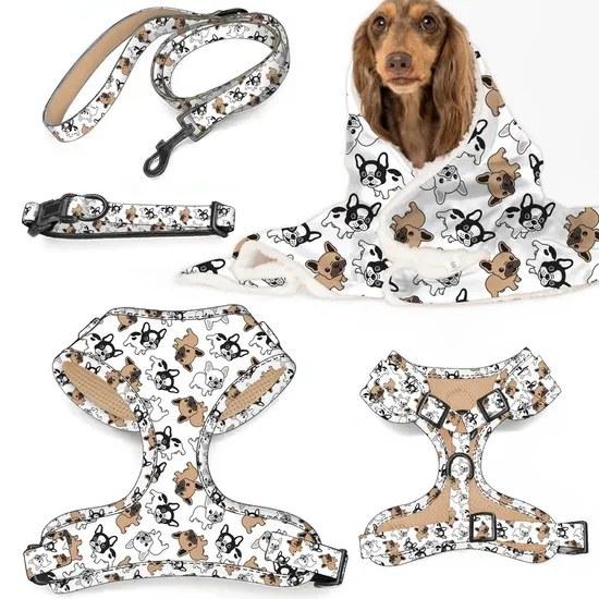Custom Colorful Puppy Dog Harness 6PCS Set Pet Accessories 