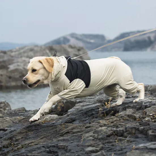 Medium and Large Dog Raincoat Labrador Golden Retriever Four Feet Waterproof Dog Clothes Anti Storm Coat Pet Raincoat 