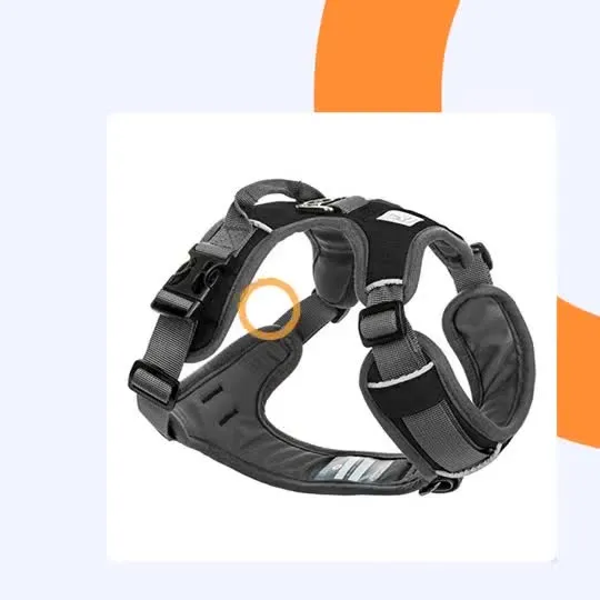 OEM No Pull Soft Nylon Custom Pet