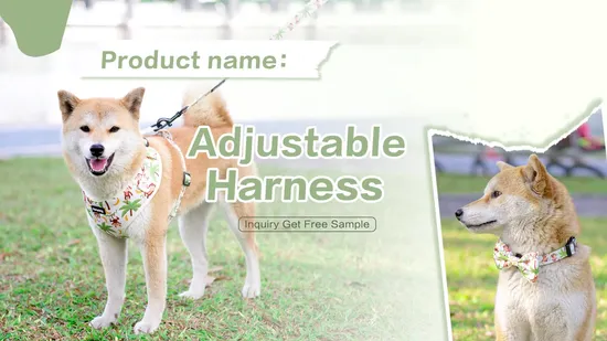 Hanyang Free Sample Customized Designs Pet Harnesses Dog Vest Harness Dog Harness and Leash Luxury Designer Wholesale Custom Dog Harness 