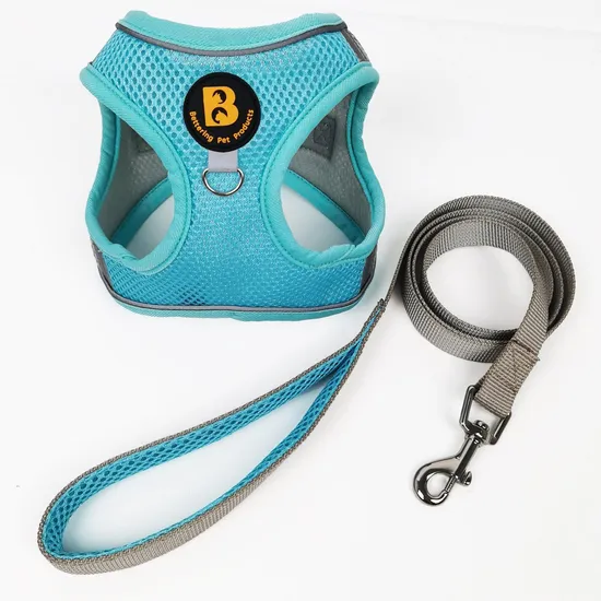 Summer Fresh Dog Harness Breathable Dog Harness Small Dog Cat Harness Leash Harness Set 